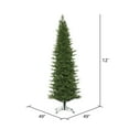 thumbnail image 2 of Vickerman 12' x 49" Eagle Fraser Slim Artificial Christmas Tree, Unlit, 2 of 2