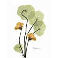 thumbnail image 2 of Koetsier, Albert 12x14 Gold Ornate Wood Framed with Double Matting Museum Art Print Titled - Nasturtium in Yellow 2, 2 of 4