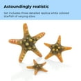 thumbnail image 5 of biOrb Yellow Sea Star Set - Aquarium Decor, 5 of 8