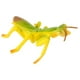 Insect Lore Ilp2510 Étapes du Cycle de Vie de la Mante – image 3 sur 4