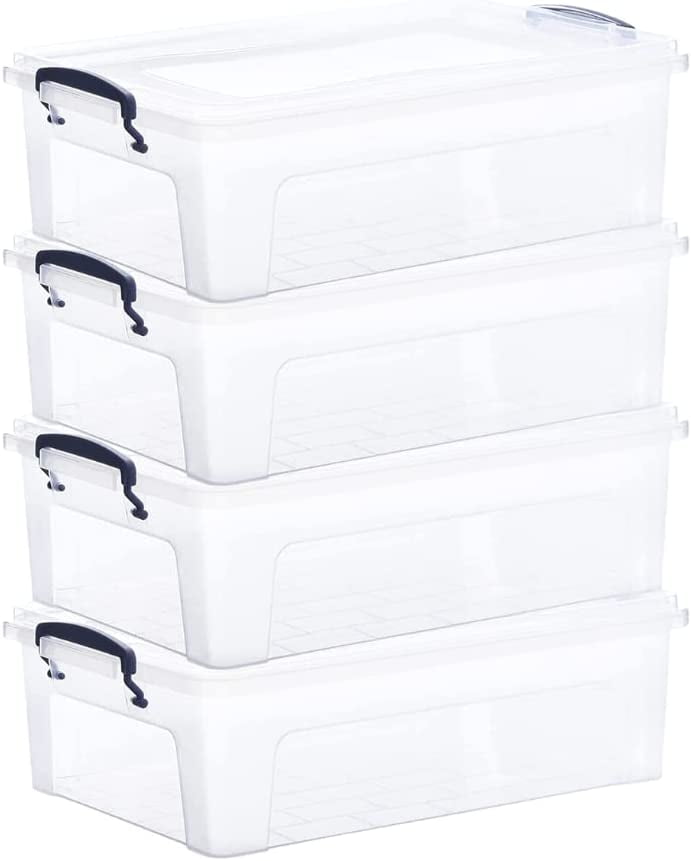 Superio Clear Plastic Storage Bins with Lids, 4 Quart (2 Pack