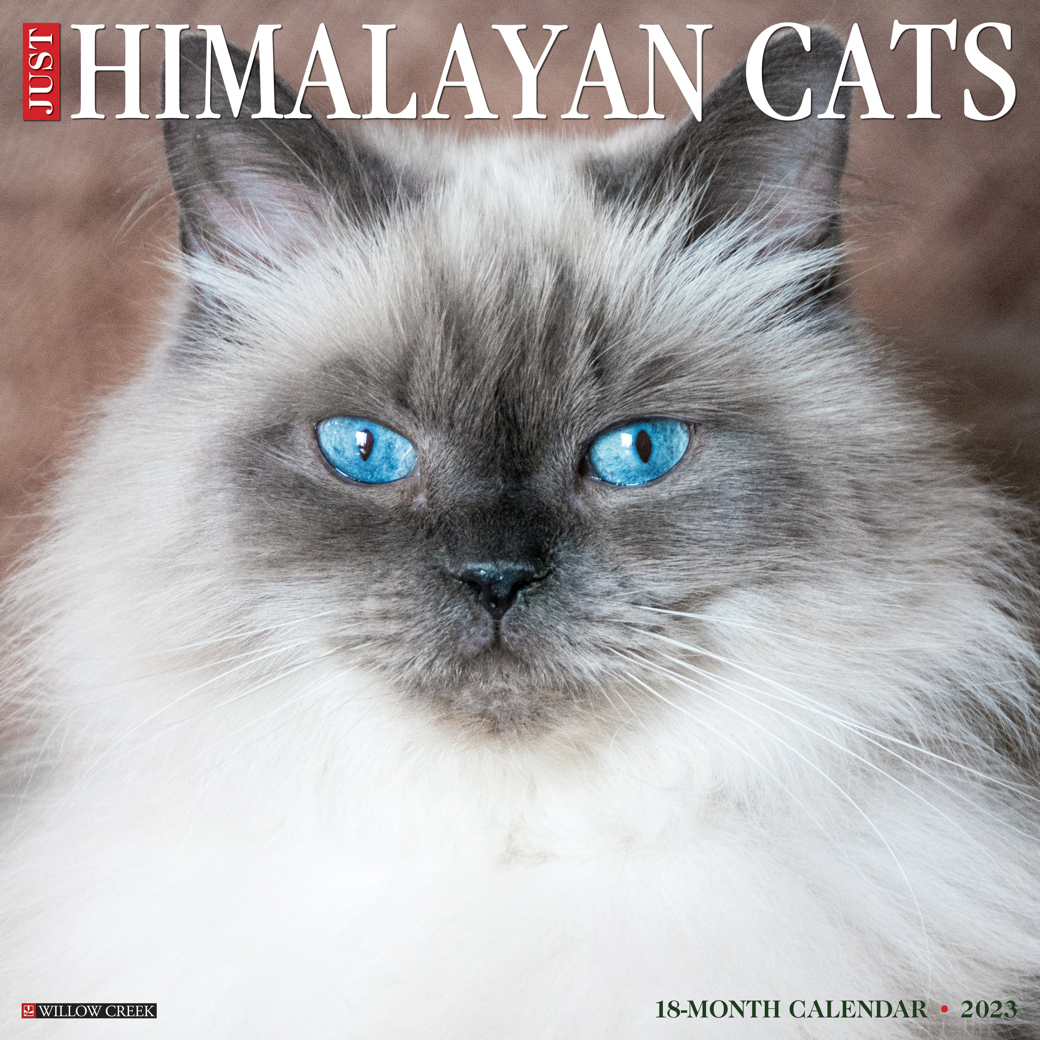 Just Himalayan Cats 2023 Wall Calendar