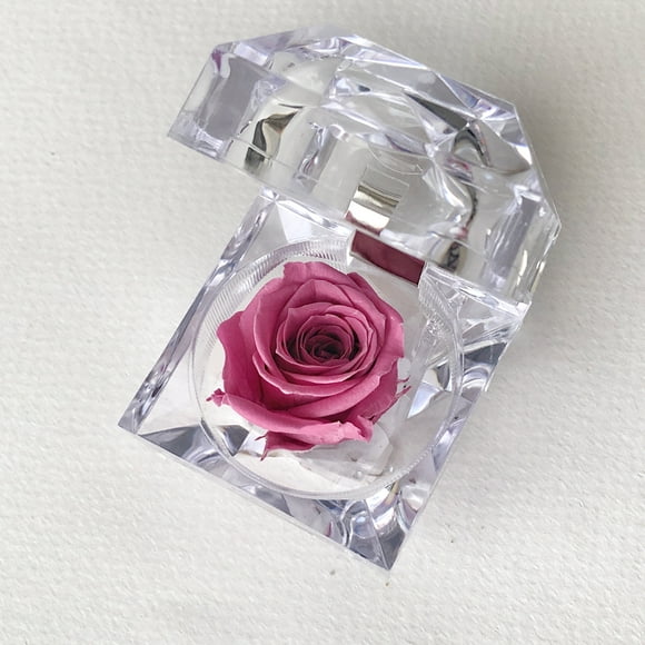 Mini rosa preservada Mina’an-flor eterna color Rose Wine en cajita de regalo