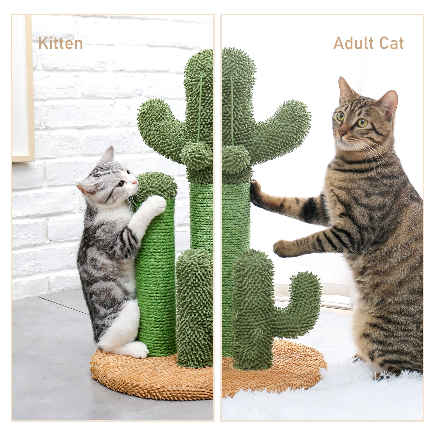 Pefilos 20" Cat Scratching Post for Furniture Cactus Cat Scratcher for Indoor Cats Featuring with 3 Scratching Poles and Interactive Dangling Ball Cat Tower for Adult Cats, M Pefilos 20" Cat Scratching Post for Furniture Cactus Cat Scratcher for Indoor Cats Featuring with 3 Scratching Poles and Interactive Dangling Ball Cat Tower for Adult Cats, M