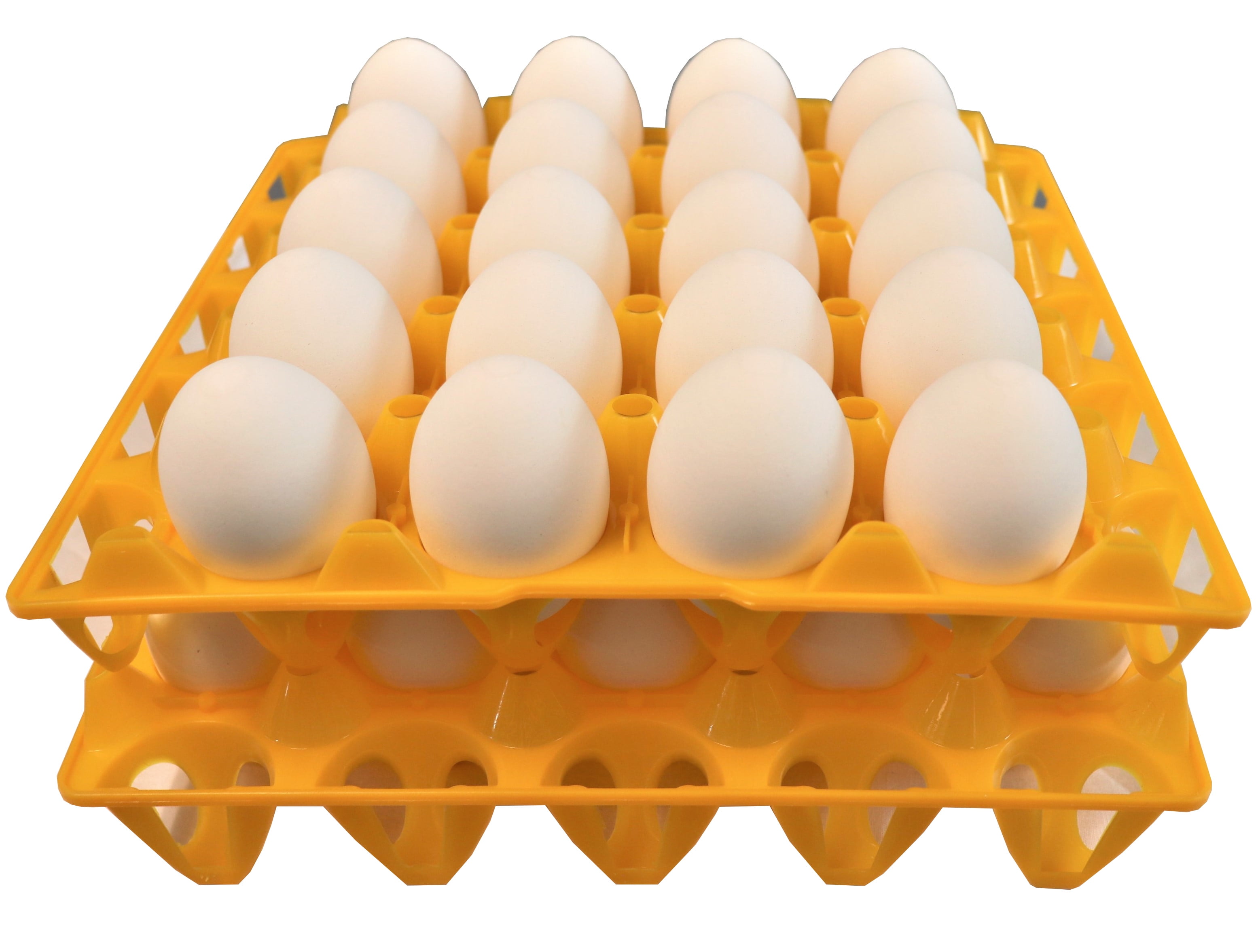 24 RITE FARM PRODUCTS 20 EGG PLASTIC TRAYS FOR DUCK GOOSE TURKEY PEAFOWL CARTON