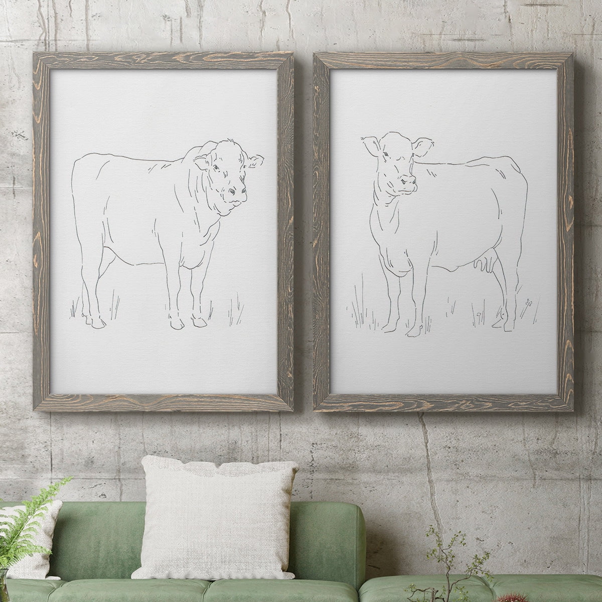 Limousin Cattle I - Premium Framed Canvas 2 Piece Set - Ready to Hang