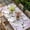 Purple, variant on Blue Purple White Birds Table Cloths for 3 Foot Rectangle Tables, Vintage Animals Farmhouse Retro Art Patio Waterproof Elastic Fitted Tablecloths, Washable Rectangular Table Cover for Camping