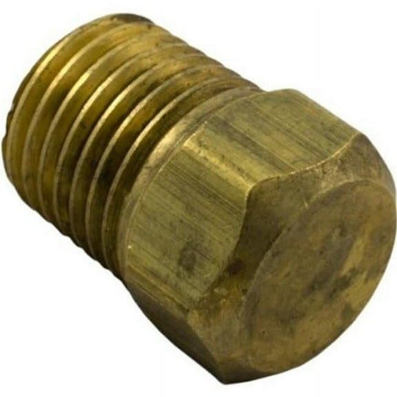 Champlain Plastics P0026800Plus Laars Brass Plug- 0.25 in.