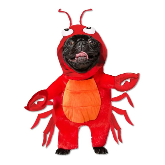 Funworld Lobster Pet Costume | Small Unisex