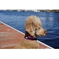 thumbnail image 2 of BLACK RHINO Comfort Dog Collar Ultra Soft Neoprene (Medium, Pink/Black), 2 of 7