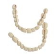 thumbnail image 4 of Modelo de prótesis dental artificial de plástico de doble hilera, material didáctico oral, 4 of 5