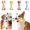 A002- Orange, variant on Dog Chew Toys, Dog Toys for Aggressive Chewers, Puppy Chew Toys for Oral, Small Dog Chew Toys, 7X3 Inch Red Durable Textured Bone-Shaped Interactive Pet Dog Supplies That Support