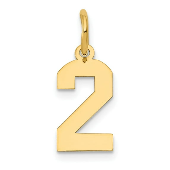 FB Jewels 14K Yellow Gold Small Polished Number 2 Charm