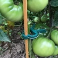 thumbnail image 4 of allFENZ Plant Support Clips (50-Pack), 4 of 5