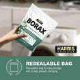 Harris Ultra Laundry Booster, Borax with Eucalyptus Mint, Multipurpose
