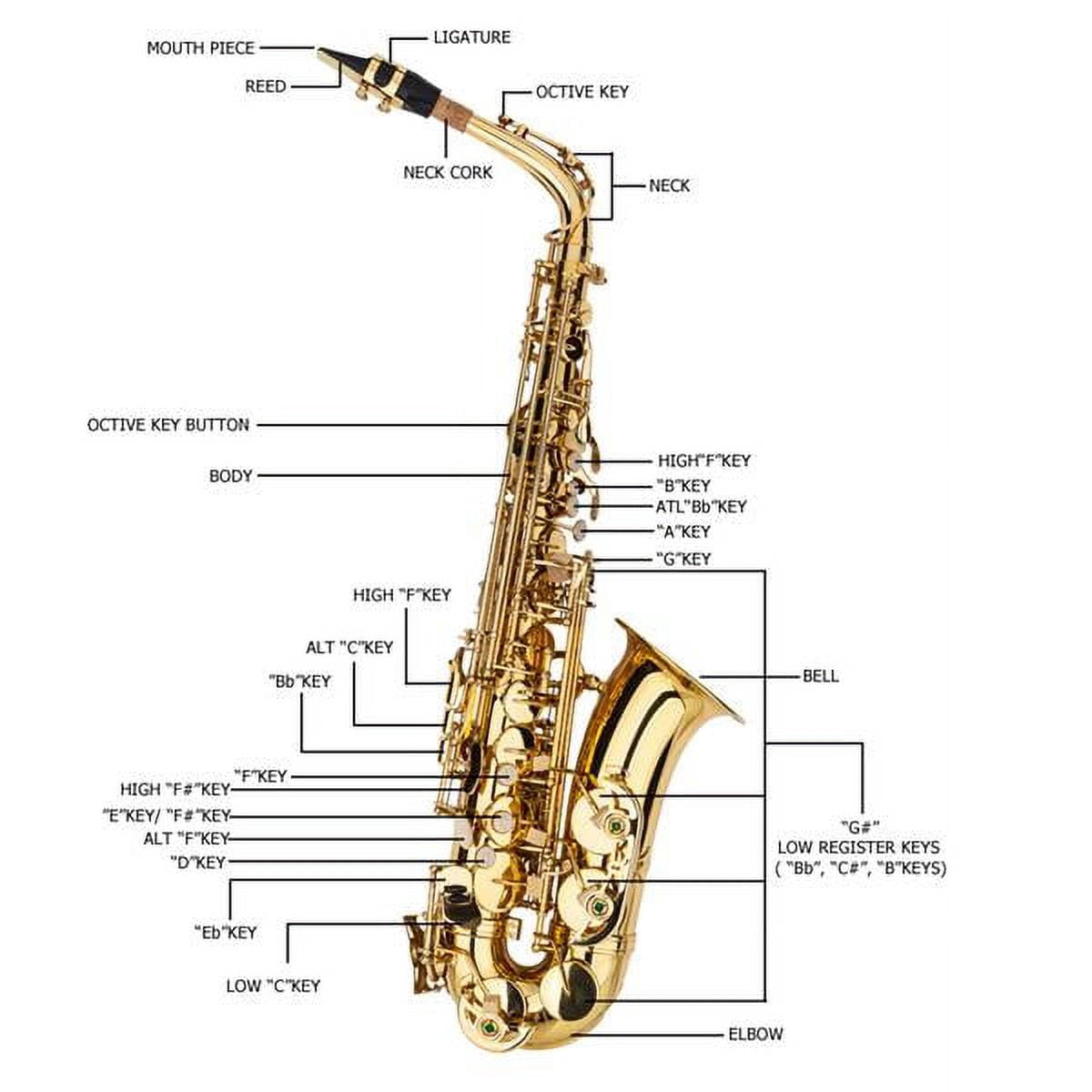 SALE CLEARANCE Alto Saxophone Eb beginner Saxophone includes brush canvas suitcase glove whistle piece cork plaster wipe cloth neck strap and other accessories