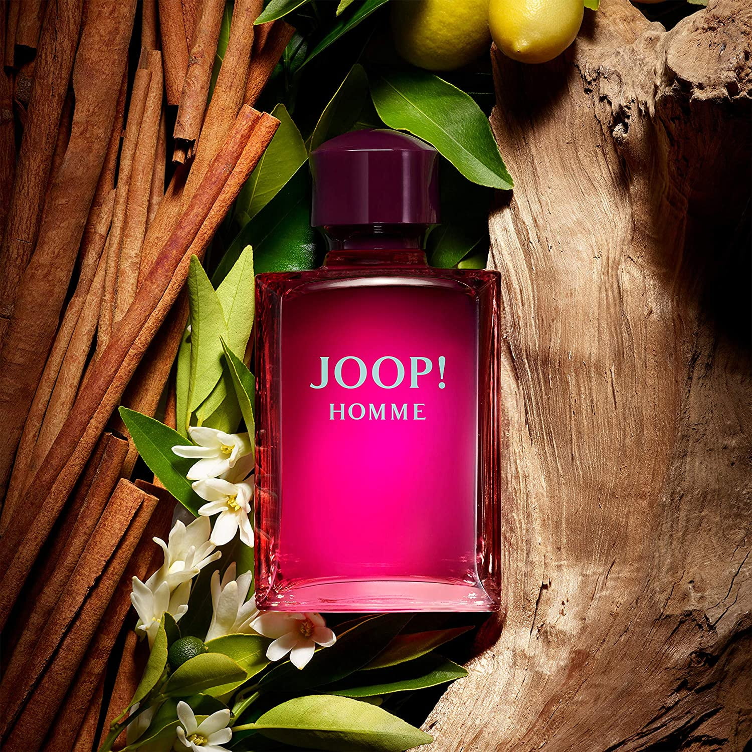 JOOP! by Joop Cologne for Men 6.7 oz edt /6.8 New in Box