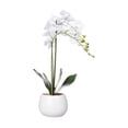 thumbnail image 4 of Anko Artificial Orchid in White Pot, 4 of 6