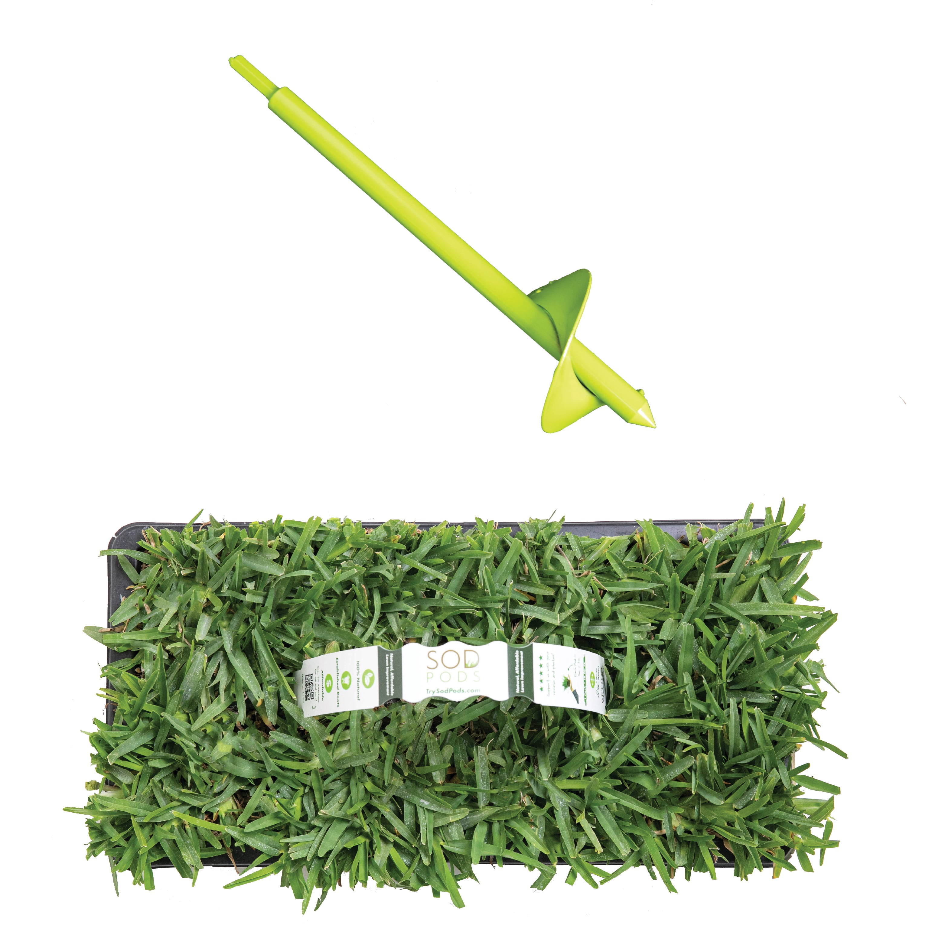 SodPods St Augustine Palmetto (64-Count)/SP Power Planter Bundle, Natural Affordable Lawn Improvement