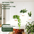 thumbnail image 6 of Bamworld Hanging Planters with Macrame Plant Hangers for Indoor Outdoor Plants 3 Set Self Watering Pots Hanging Baskets Flower Pot Holders 3 Different Size, 6 of 7
