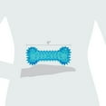 Vibrant Life Fetch Buddy Spiky Blue Bone Dog Toy, Chew Level 3