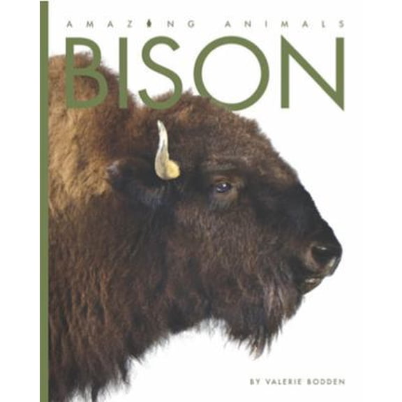 Pre-Owned Bison (Paperback) 0898127874 9780898127874