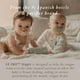 thumbnail image 5 of Suavinex, Chupete, 18 Meses+, 2 Pack, Mint/Beige, 5 of 5