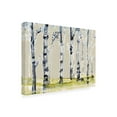 thumbnail image 2 of Trademark Fine Art 'Parchment Birch line I' Canvas Art by Jennifer Goldberger, 2 of 4