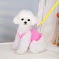 thumbnail image 2 of Adorable Pet Clothes for Cats & Small Dogs - Charming Spring & Autumn Wear, 2 of 6