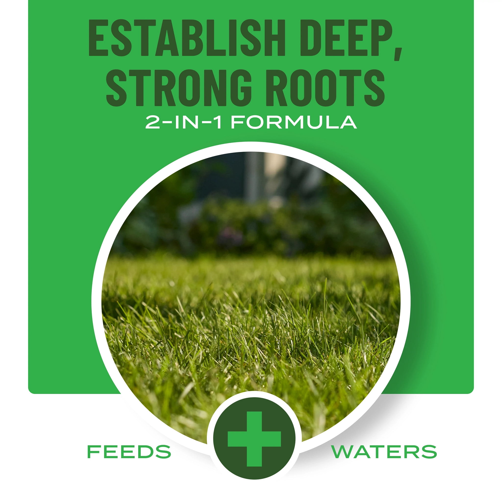 Scotts Turf Builder Liquid Starter Lawn Food, Fertilizer for New Grass, 32 fl. oz.