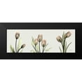 thumbnail image 2 of Koetsier, Albert 18x9 Black Modern Framed Museum Art Print Titled - Spring Tulip Triple, 2 of 5