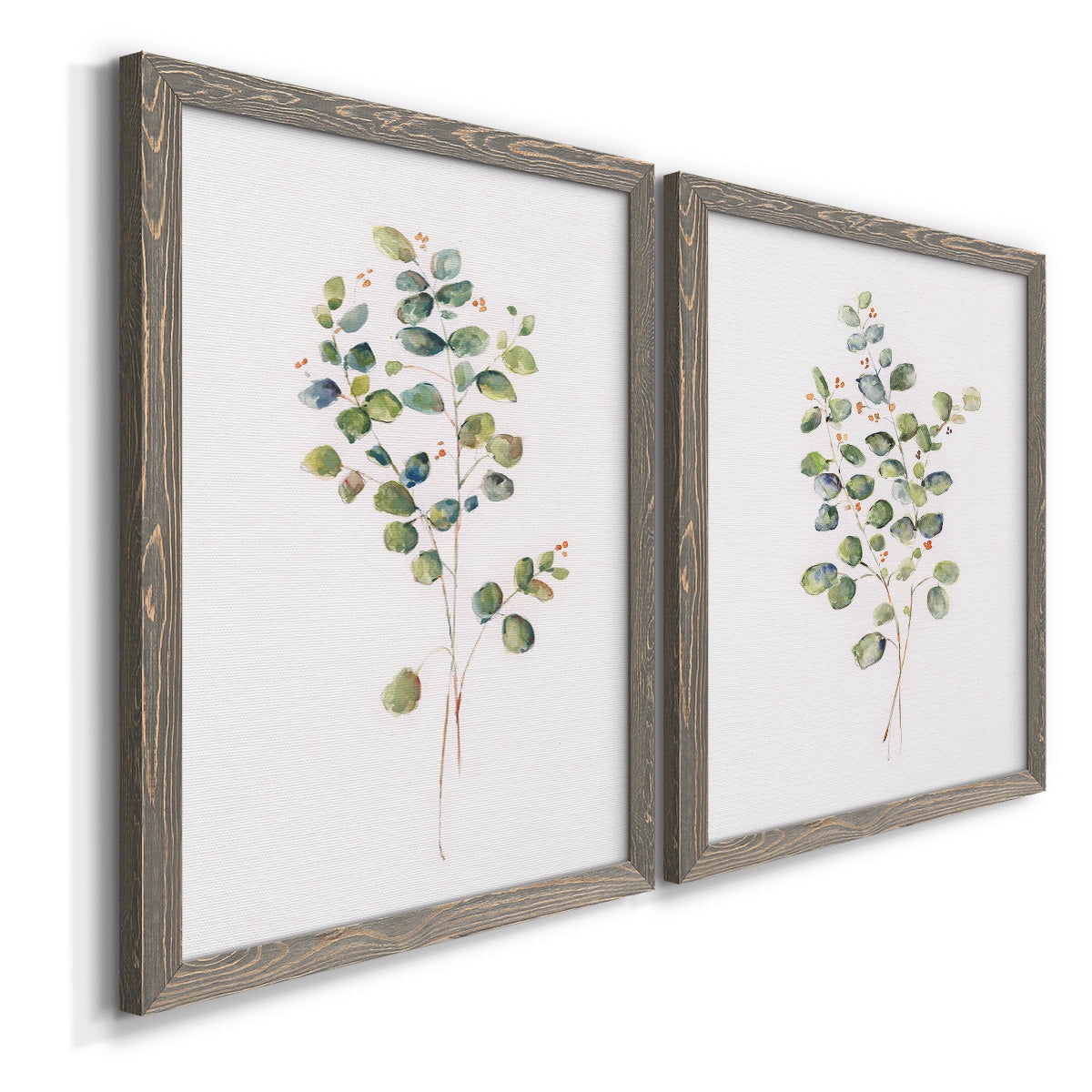 Eucalyptus I - Premium Framed Canvas 2 Piece Set - Ready to Hang