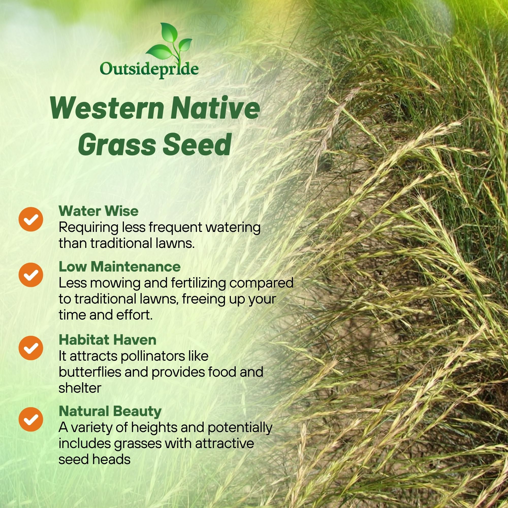 Outsidepride 1 lb. Perennial Western Native Grass Seed Mix of Warm & Cool Season Grasses