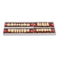 thumbnail image 1 of False Teeth, DIY Replacement Resin Safe Synthetic Denture A3 425  For  Clinics For Men Women, 1 of 8