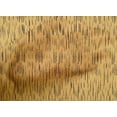 thumbnail image 4 of oneOone Cotton Cambric Fabric Abstract Ikat Print Sewing Fabric BTY 56 Inch Wide, 4 of 4