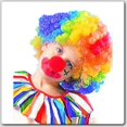 thumbnail image 1 of Perruque Clown - Couleur Arc-en-Ciel - Taille Enfant, 1 of 1