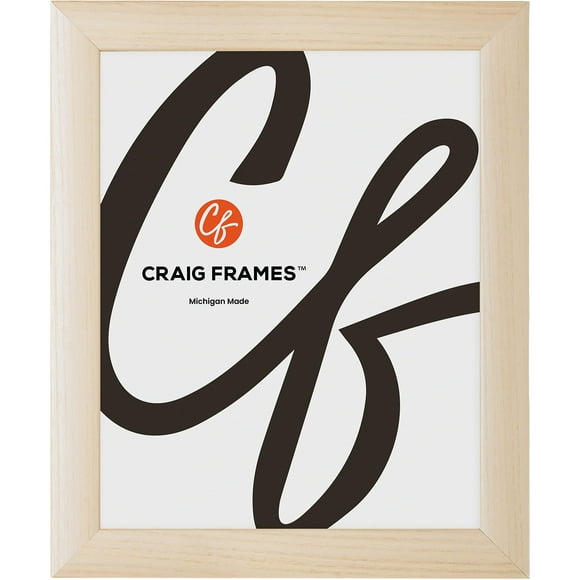 Craig Frames Contemporary 13x19 Picture Frame Natural