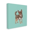 thumbnail image 4 of Stupell Industries Chihuahua with Crown Animals & Insects Painting Gallery Wrapped Canvas Art Print Wall Art, 17 x 17, 4 of 8