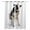Black, variant on Funny Pig Kitchen Curtains Cute Art Fun Lovely Animals on Toilets Cafe Short Curtains for Bathroom Blackout Window Curtain Grommet Small Window Treatment Drapes for Bedroom Living Room 27.5"x39"x2