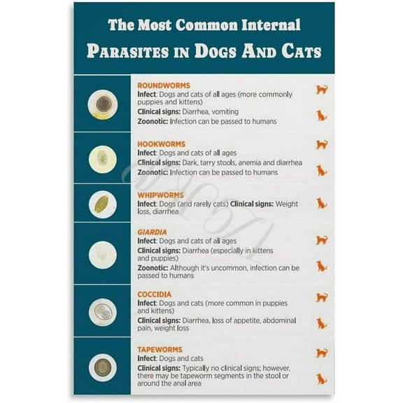 The Most Common Parasites in Dogs And Cats Poster Pet Hospital Wall Art (4) Canvas Painting for Living Room Bedroom Decor