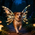 thumbnail image 5 of Accessoire Photo pour Chiens Moyens et Grands avec Éclairage LED, 5 of 5
