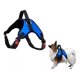 thumbnail image 1 of Pechera Arnes De Seguridad Para Perro,ajustable Y Comoda, 1 of 5