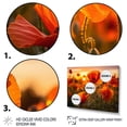 thumbnail image 3 of Designart "Red Poppies landscape With Sunset I" Floral Floater Framed Canvas Wall Art, 3 of 7