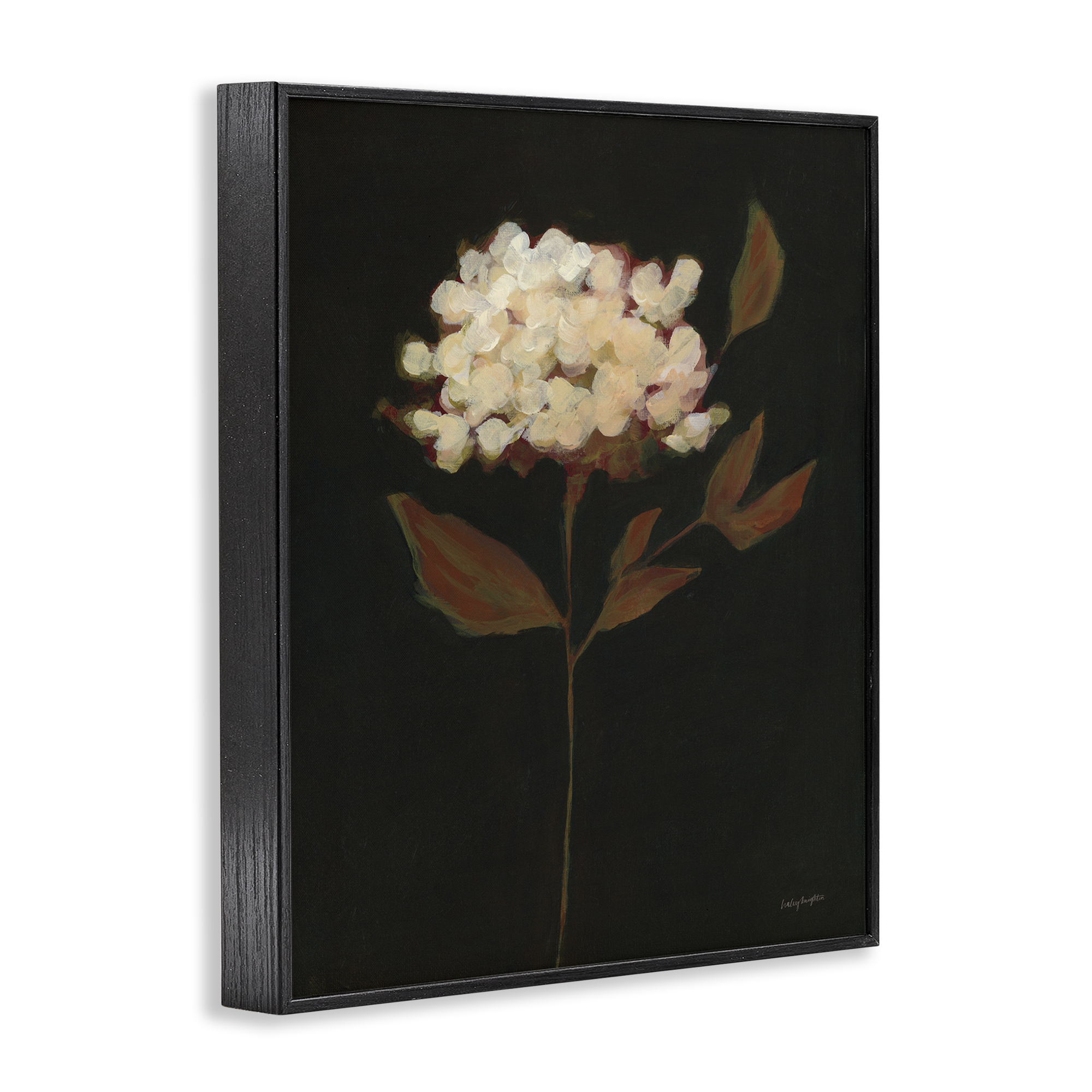 Stupell Industries Dark Fall Flower Botanical & Floral Painting Black Framed Art Print Wall Art, 16 x 20