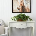 thumbnail image 3 of Nearly Natural Pothos avec Panier, 3 of 3