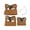 Brown C, variant on YIFAEUX Bearded Dragon Harness And Leash Set Faux Leather Reptile Lizard Harness with Retractable Leash Small Animal Traction Rope Walking Vest Accessories for Amphibians