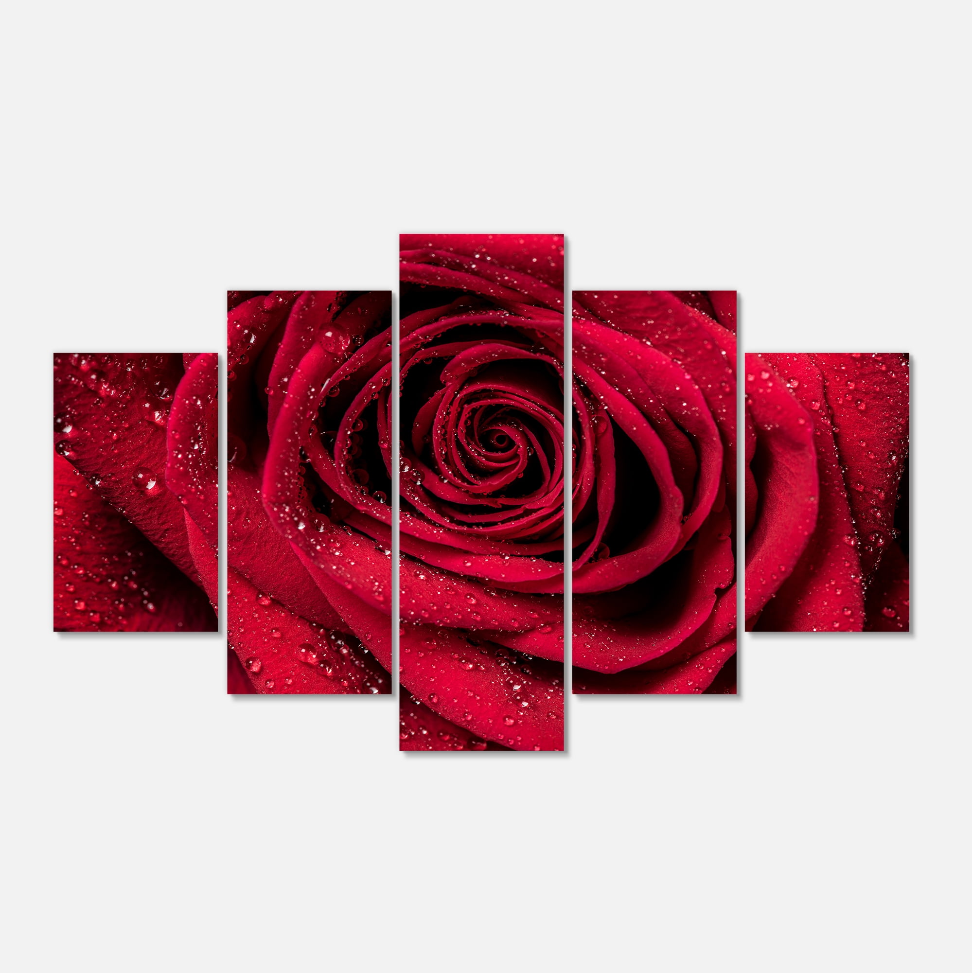 Design Art Red Rose Petals with Rain Droplets Floral Canvas Art Print