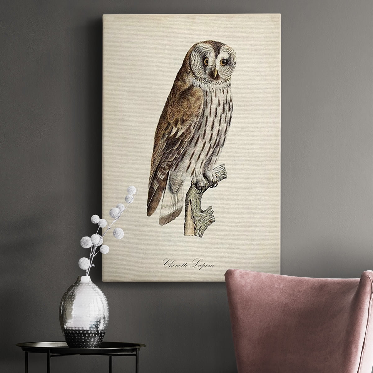 French Owls III Premium Gallery Wrapped Canvas - Ready to Hang