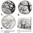 thumbnail image 3 of Designart "Grey 0 Maple Tree Silent " Floral Floater Framed Canvas Print, 3 of 7