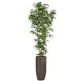 thumbnail image 1 of Vintage Home Artificial Faux Real Touch 7.75 Feet Tall Bamboo Tree With Natural Poles and Fiberstone Planter, 1 of 3